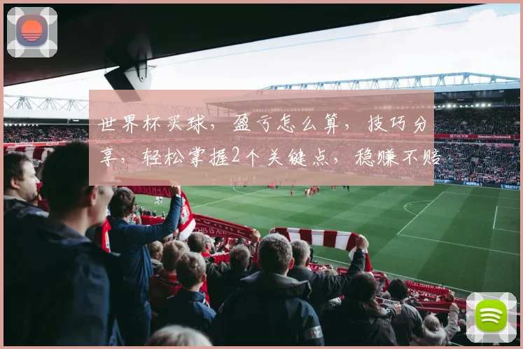世界杯买球，盈亏怎么算，技巧分享，轻松掌握2个关键点，稳赚不赔