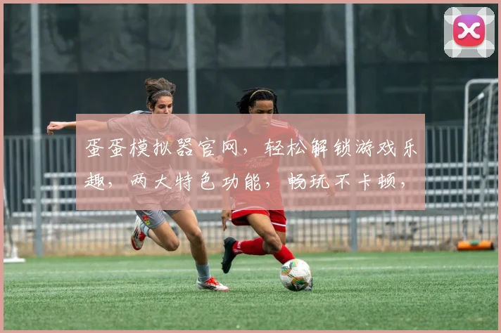 蛋蛋模拟器官网，轻松解锁游戏乐趣，两大特色功能，畅玩不卡顿，体验非凡