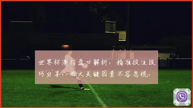 世界杯澳门盘口解析，精准投注技巧分享，两大关键因素不容忽视，助你一臂之力