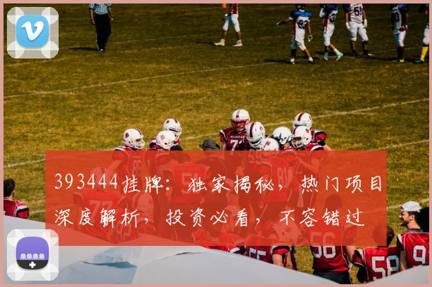 393444挂牌：独家揭秘，热门项目深度解析，投资必看，不容错过